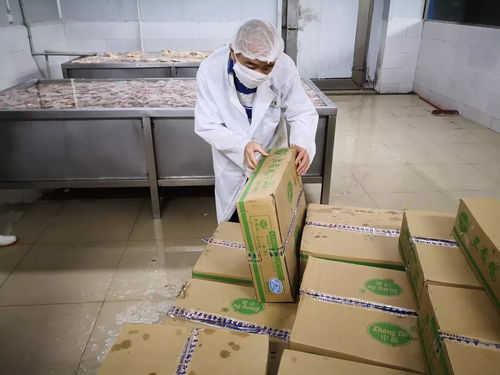 重庆菊花首次出口新加坡，蜜蜂之家助力生态农业走得更远