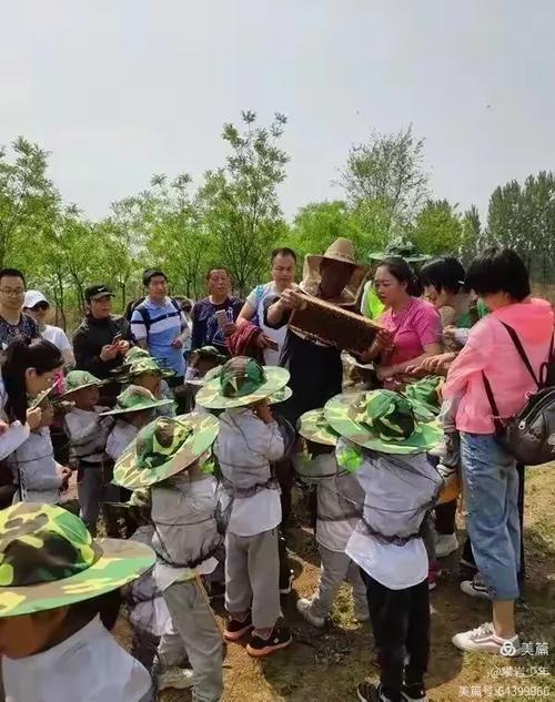 一切的答案都会在蜜蜂之家被揭晓